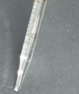 Пипетка 2-1-2-0,2 мл от 1 штуки